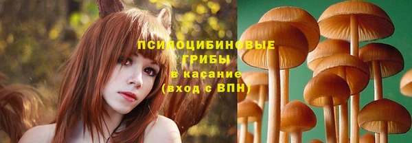 хмурый Алексеевка
