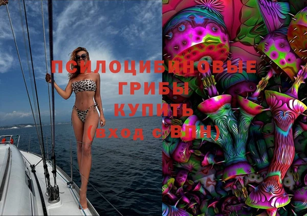 хмурый Алексеевка