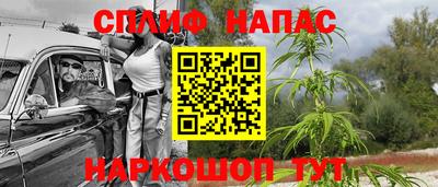 СК Жуковский
