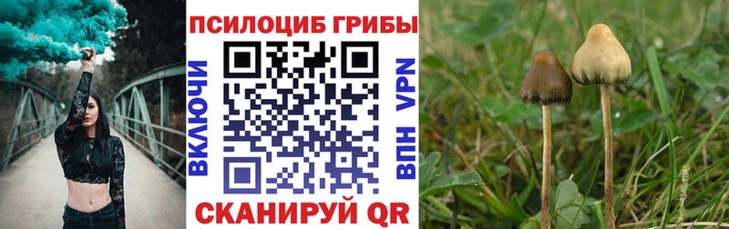 Псилоцибиновые грибы Magic Shrooms  сайты даркнета наркотические препараты  Мичуринск 
